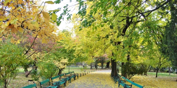 calarasi cismigiul gradina in stil englezesc foto wikipedia.org