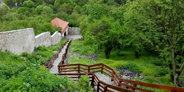 cetatea devei foto daniel guta adevarul