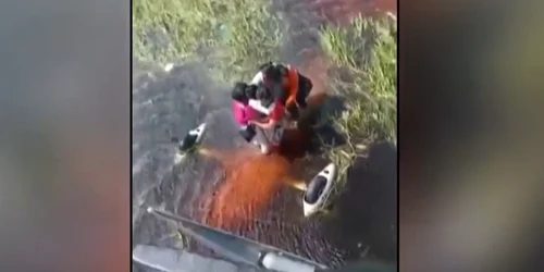 salvati doi tr o mlastina cu crocodili captura video BMF png