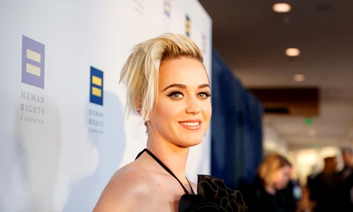 The Human Rights Campaign 2017 Los Angeles Gala Dinner Red Carpet jpeg