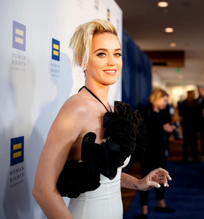 The Human Rights Campaign 2017 Los Angeles Gala Dinner Red Carpet jpeg
