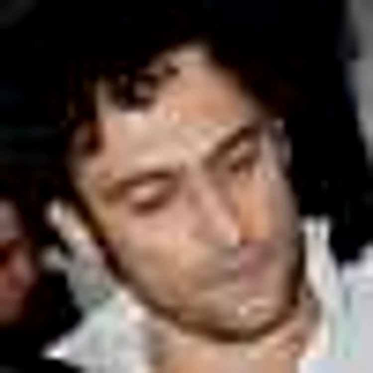 silviu gherman