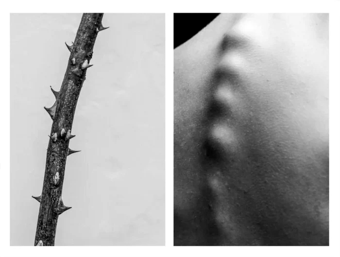 FOTO Alicja Brodowicz