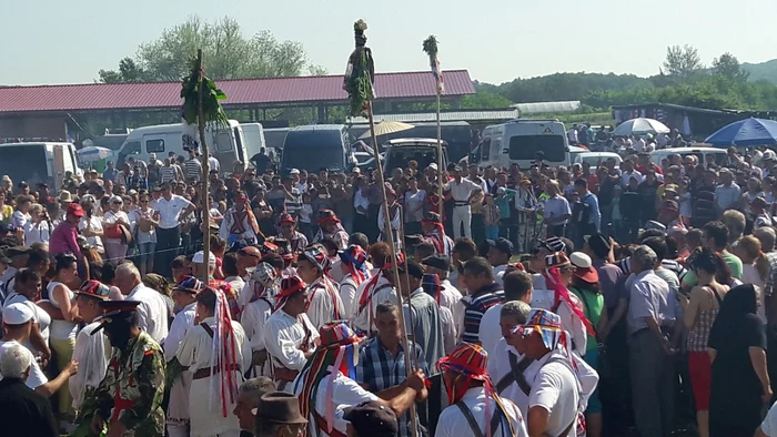 concurs căluşari dobroteasa