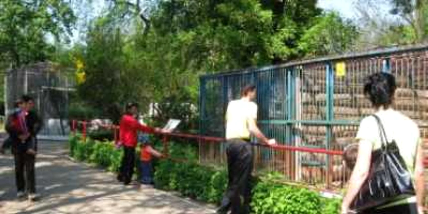 Ploieşti: Animalele de la Zoo vor fi în siguranţă
