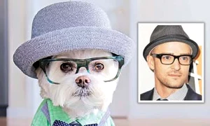 23 pe glob caine jpeg