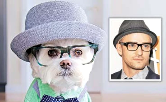 
    Toby Little Dude este o  mare vedetă pe Internet  