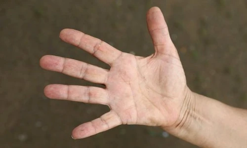 1 liniile bratare jpg jpeg