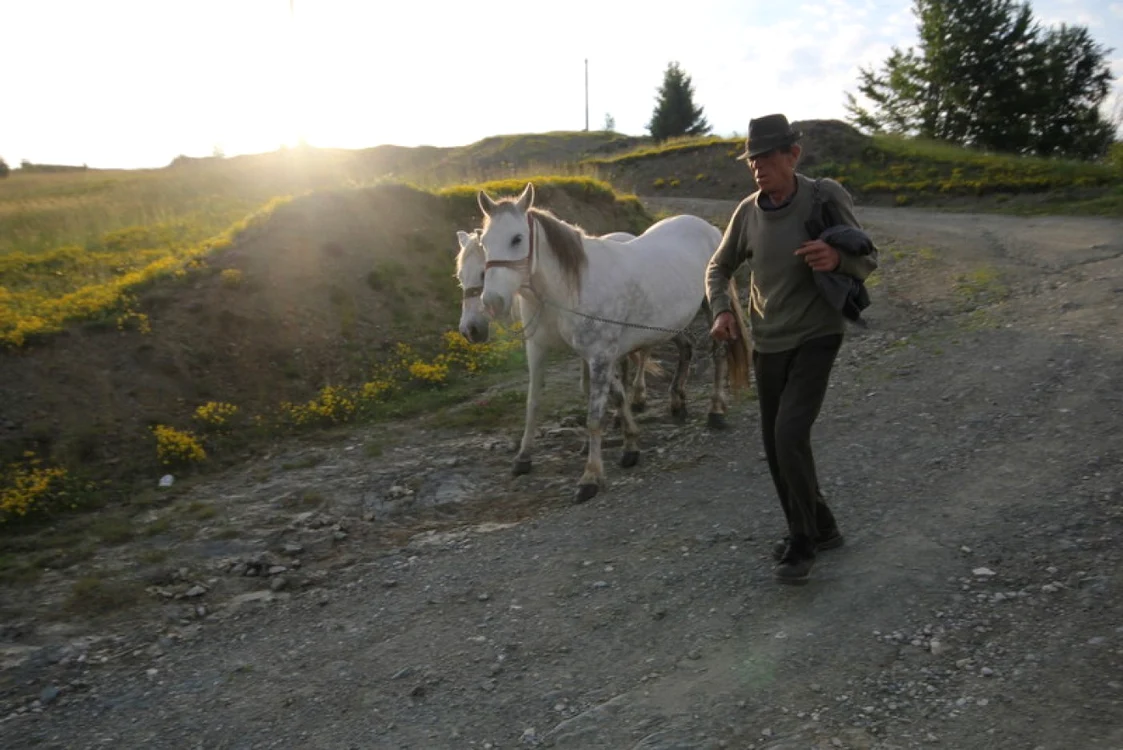 Drumul spre Vadu Dobrii. FOTO: Daniel Guţă. ADEVĂRUL.