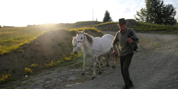Ţinutul Pădurenilor
