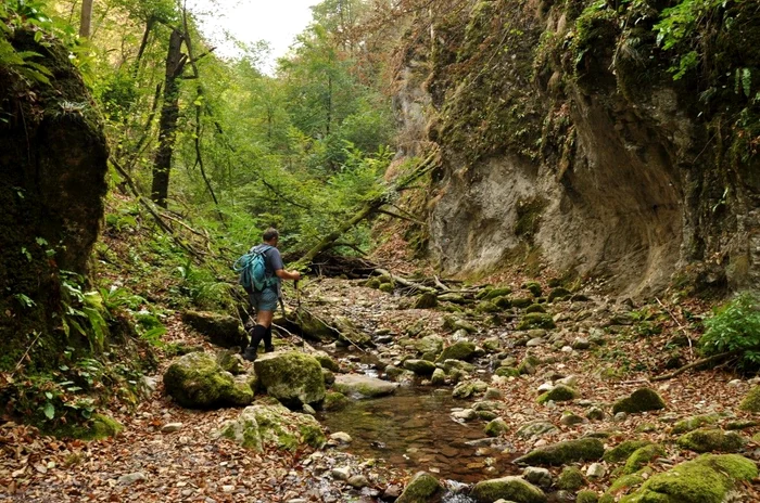 Valea Sighișel Foto: traveleurope.ro 