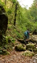 Valea Sighestelului jpeg