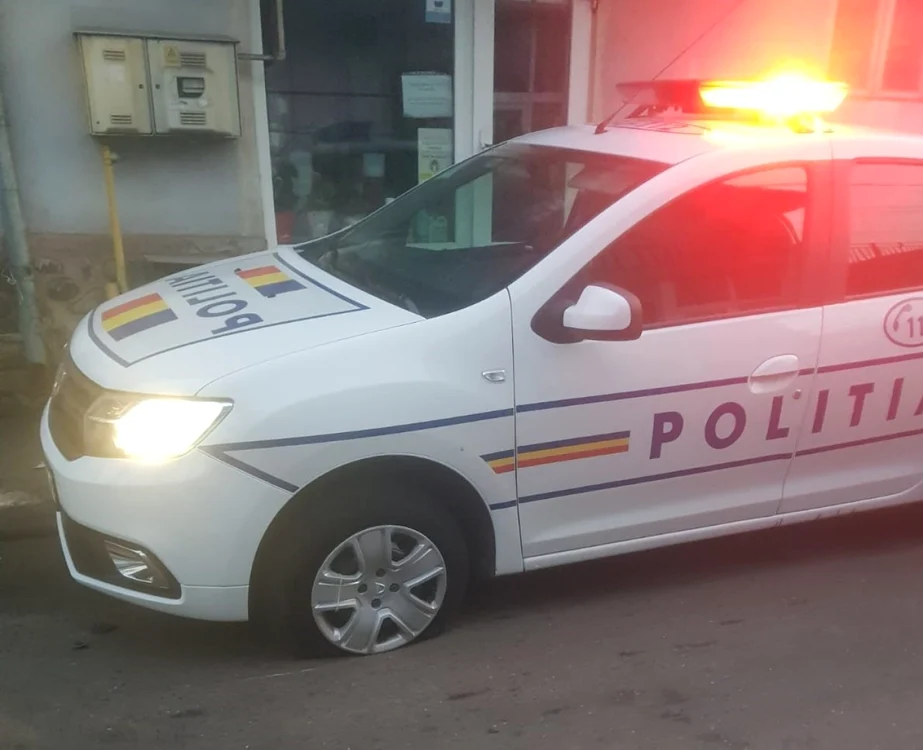 Arhivă
