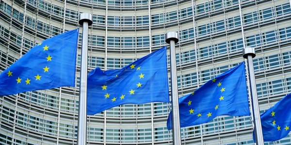Uniunea Europeana UE steag FOTO Shutterstock