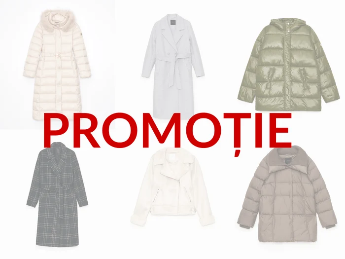 art zew poziomo4 png