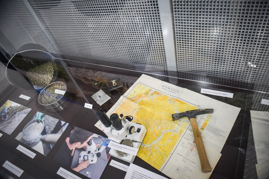 Au fost descoperite fosile de rechini în Transilvania. Din ce perioadă sunt datate