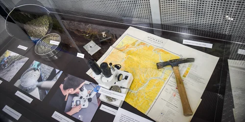 descoperire fosile rechin transilvania jpg