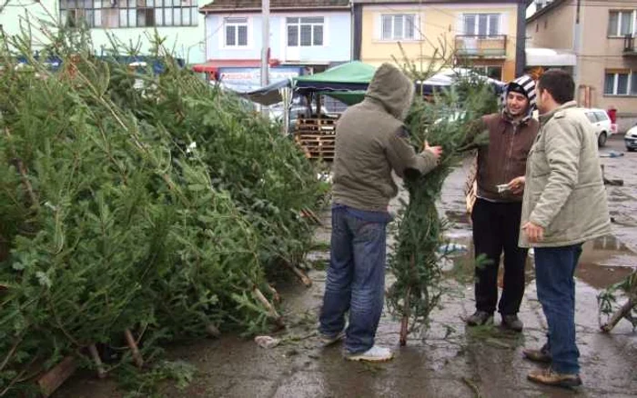 În această dimineaţă brazii s-au vândut foarte bine