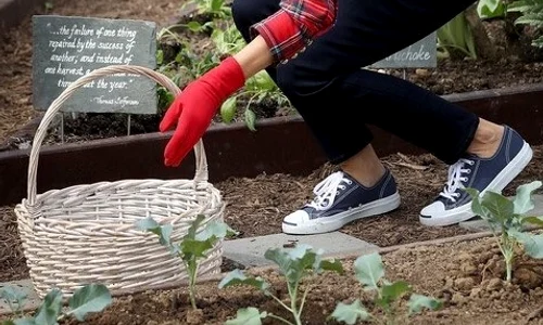 melania trump gradinarit jpeg