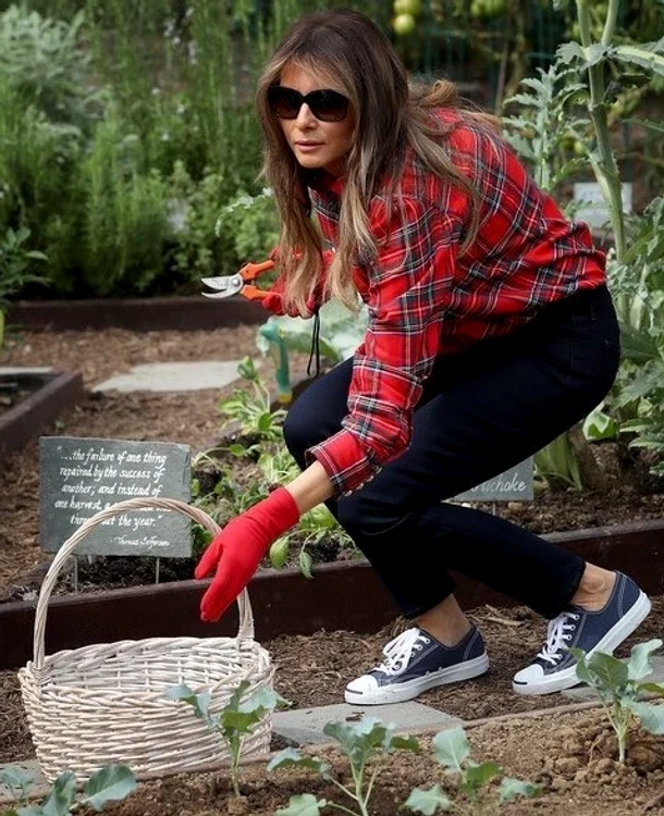melania trump gradinarit jpeg