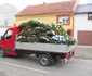 Înmormântarea taximetristului Florin Panea