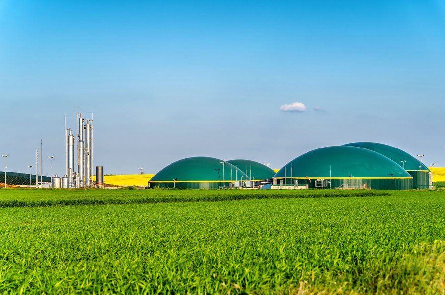 Black Sea Oil & Gas va dezvolta centrale de biogaz în România