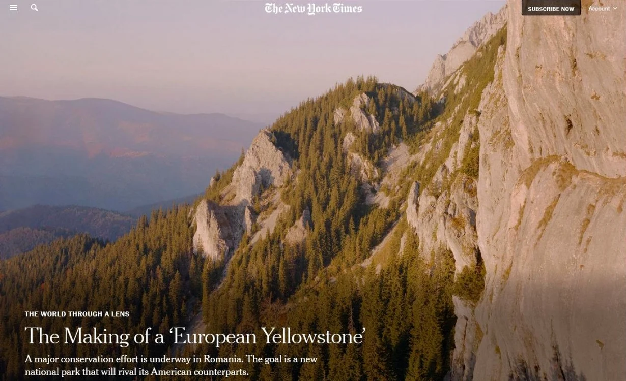 Jurnaliştii de la The New York Times, fascinaţi de zonele sălbatice din Făgăraş FOTO: Nicholas J.R. White