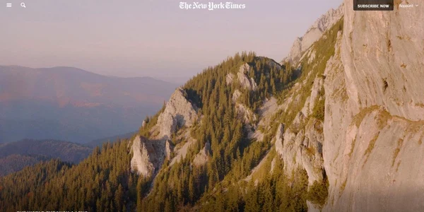 new york times fagaras