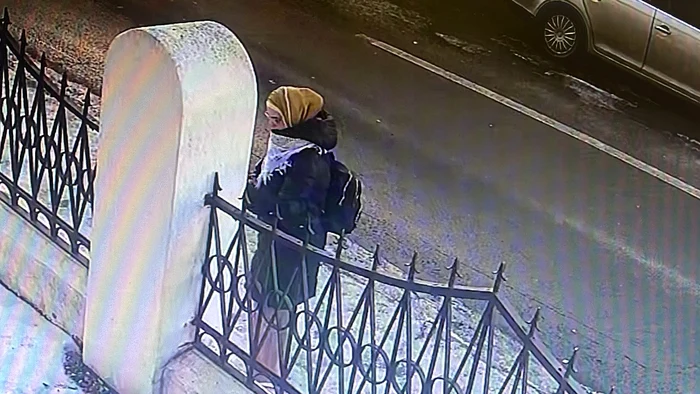 În imagini apare femeia care a vandalizat gardul FOTO camere de supravegere
