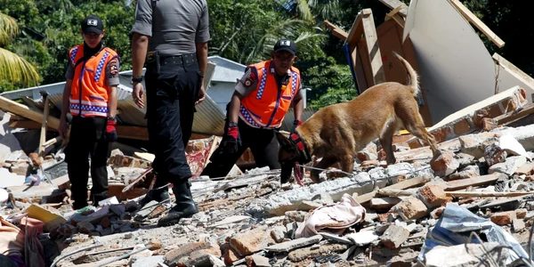 Imaginea Zilei / Ofiţeri şi un câine de poliţie K-9 caută victime în clădiri prăbuşite după cutremurul de 7 grade în Tanjung West Nusa Tenggara Indonezia FOTO EPA – EFE / 9 aug 2018
