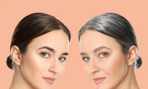 aging antiaging shutterstock 2401150905 jpg