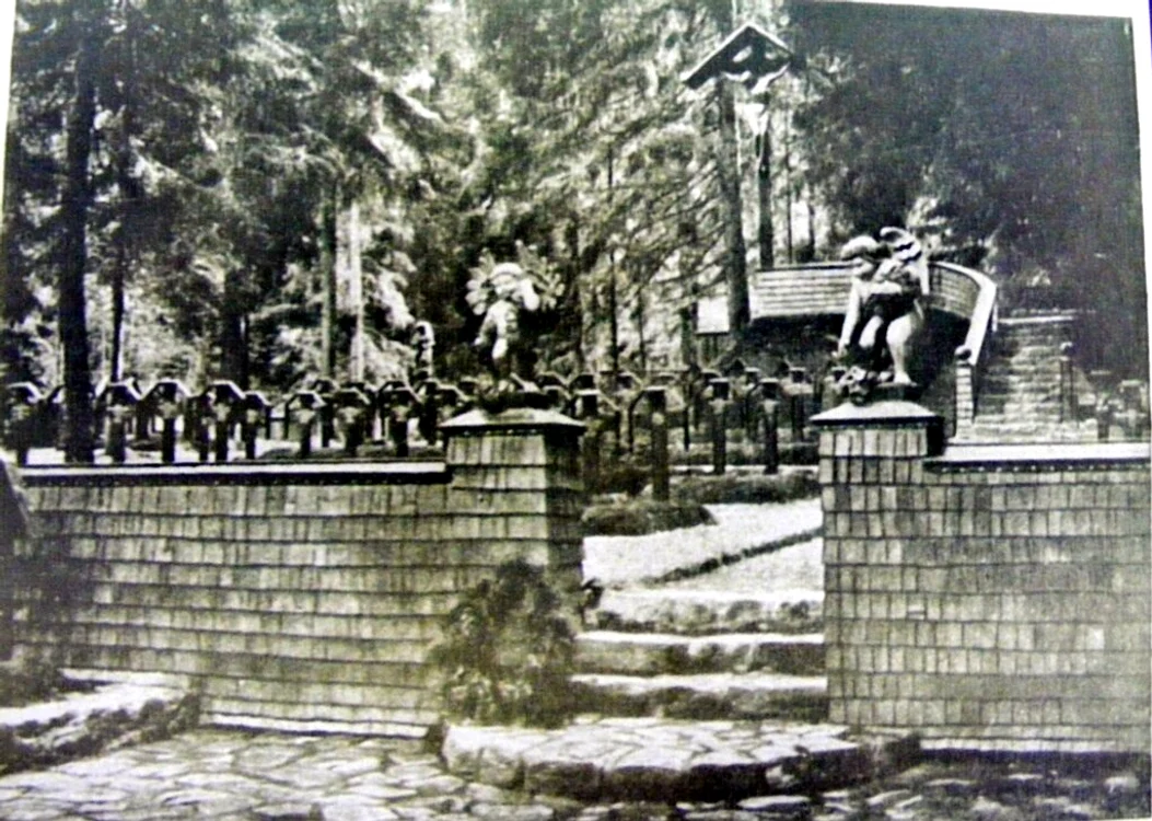 Cimitirul militar de pe Valea Vaserului  FOTO Regiomm