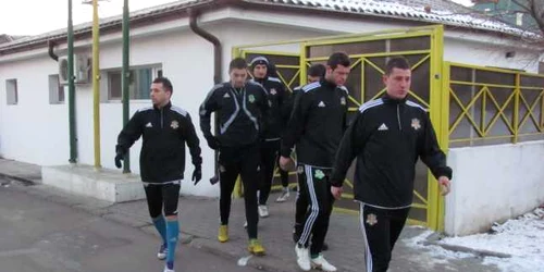 Galben-verzii se vor reuni pe 13 ianuarie FOTO