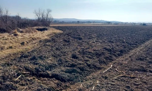 O așezare barbară daco-germanică, descoperită în Sălaj (foto:  Muzeul Județean de Istorie ți Artă Zalău)