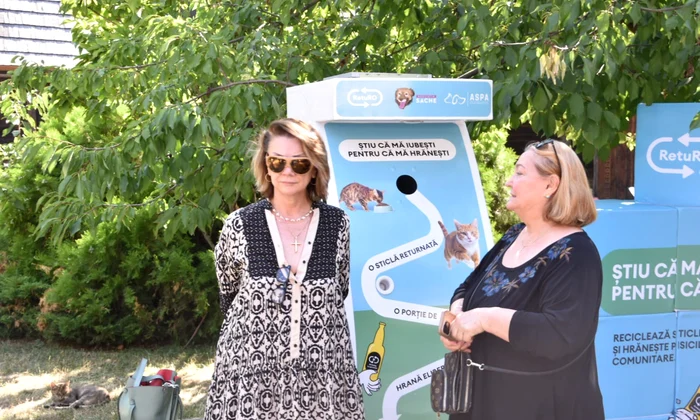 Carmen Tănase se luptă pentru pisicuțele comunitare jpg