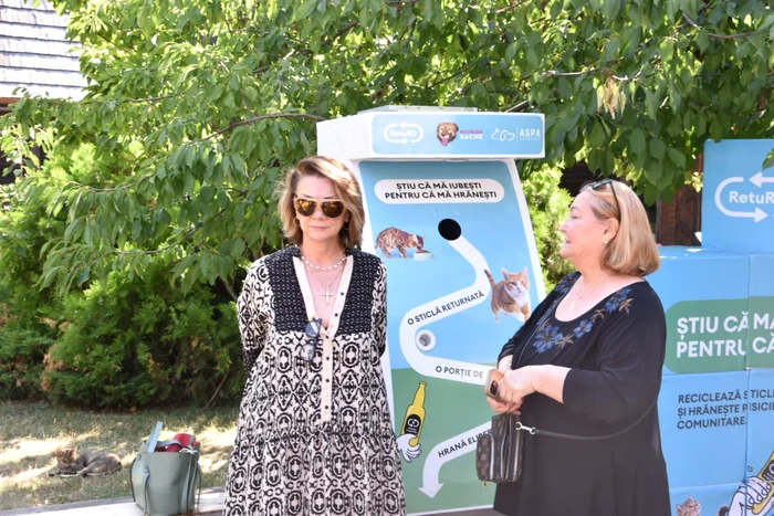 Carmen Tănase se luptă pentru pisicuțele comunitare jpg