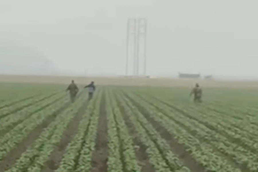 Raziile ICE au ajuns la fermele din California. Imagini cu agenți fugărind lucrători agricoli pe câmpuri