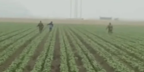 targeted workers produce farms ventura 106316605 webp
