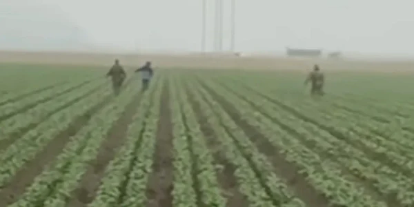 targeted workers produce farms ventura 106316605 webp