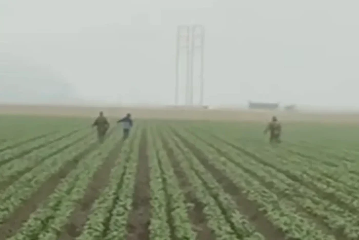 VIDEO Raziile ICE au ajuns la fermele din California. Imagini cu agenți fugărind lucrători agricoli pe câmpuri