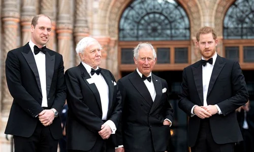 printul harry jpeg
