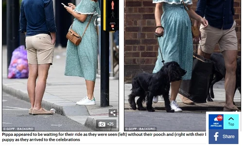 pippa middleton gravida jpeg