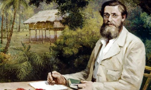 Umbra lui Darwin: omul care a avut şi el ideea evoluţionismului jpeg