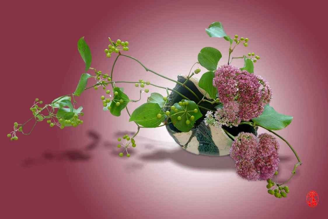 nicoleta oprisan ikebana