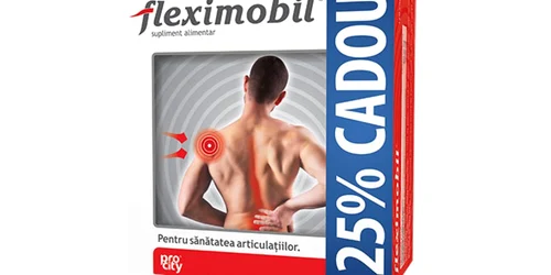 Fleximobil