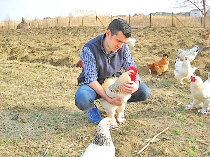 Solistul are peste 50 de găini în bătătură