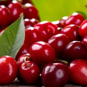 cirese shutterstock