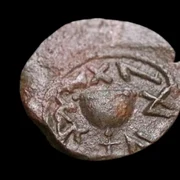 moneda biblica Ierusalim   foto Israel Antiquities Authority jpg