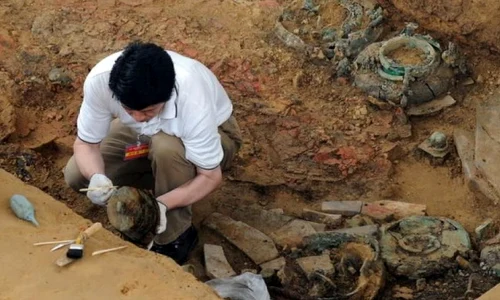 Historia și Fundația Calea Victoriei te trimit la cursuri  Află cine a câștigat invitația jpeg