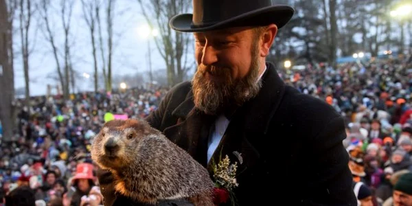 marmota phil care prezice vremea foto guliver/getty images